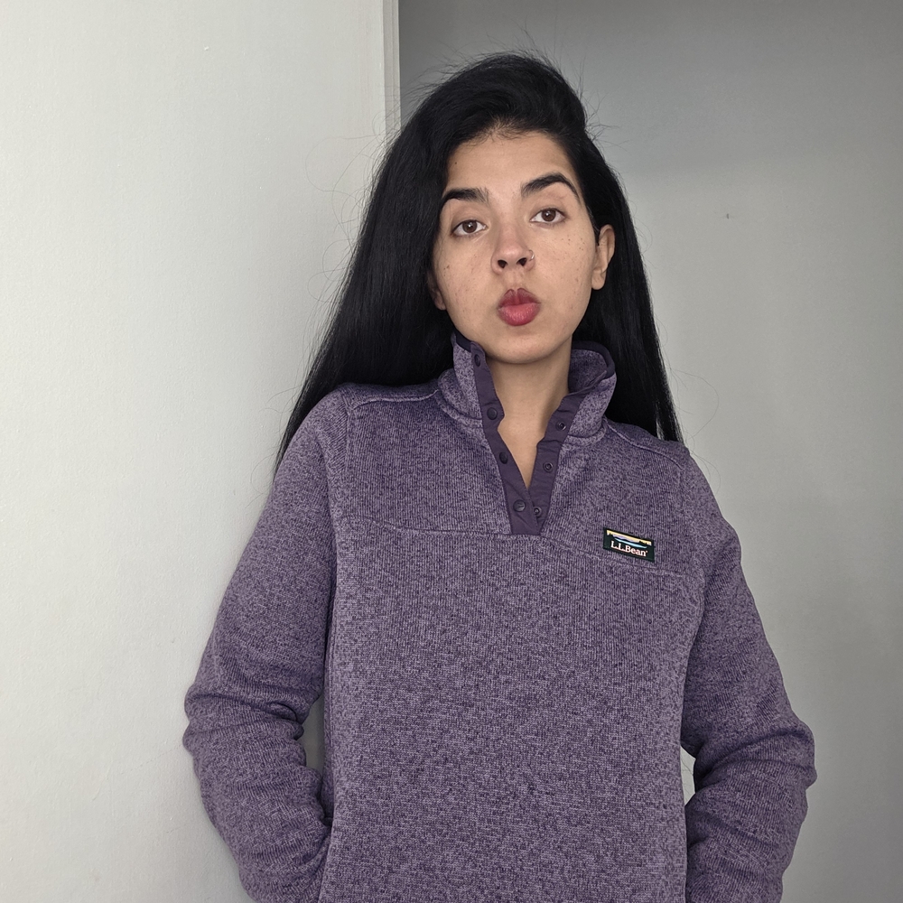 L.L. Bean Heathered Purple Pullover